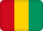 Guinea