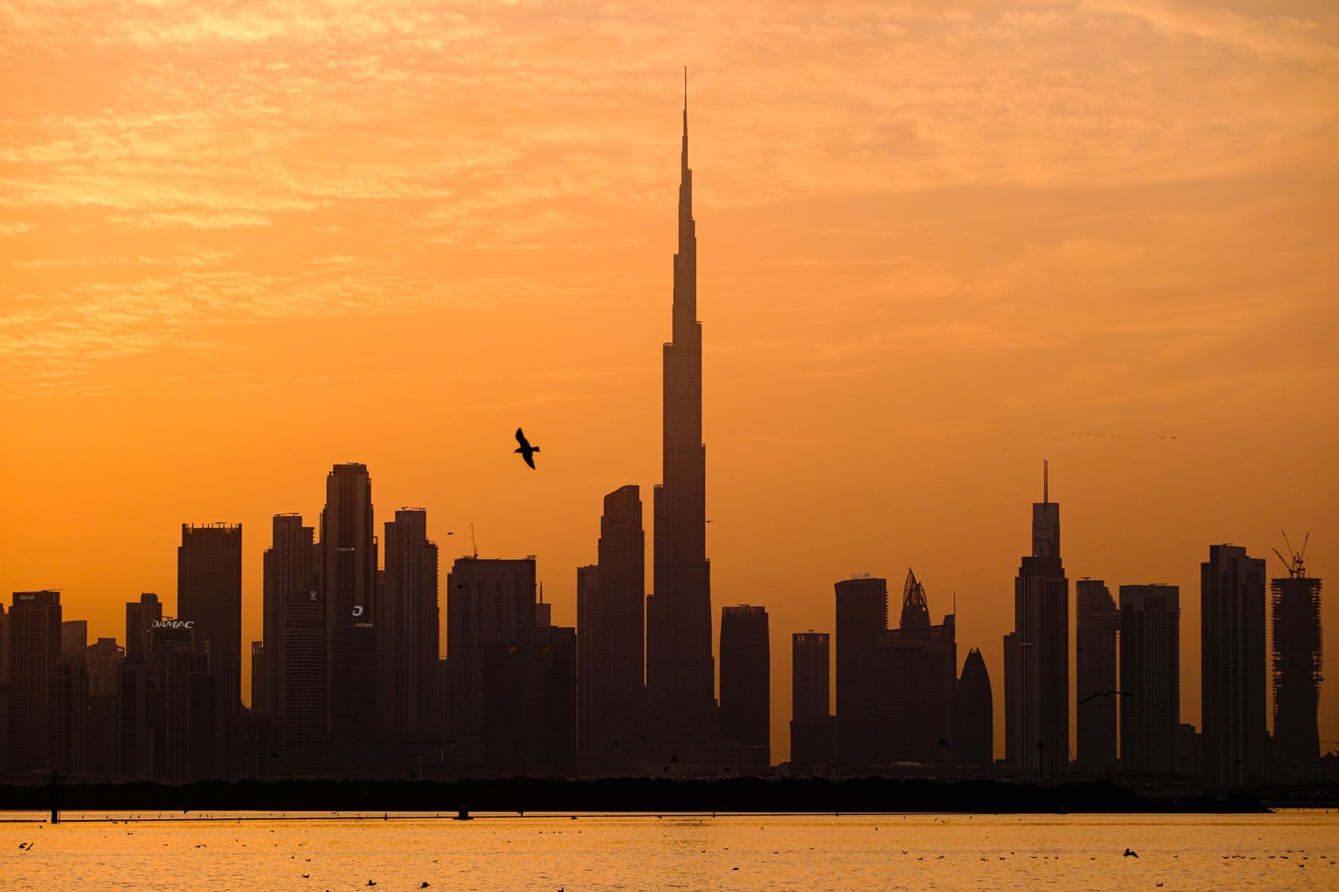 United Arab Emirates 10