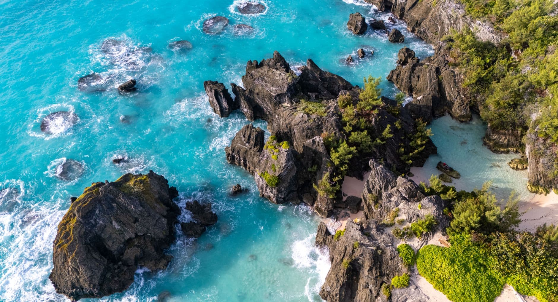 Bermuda 3