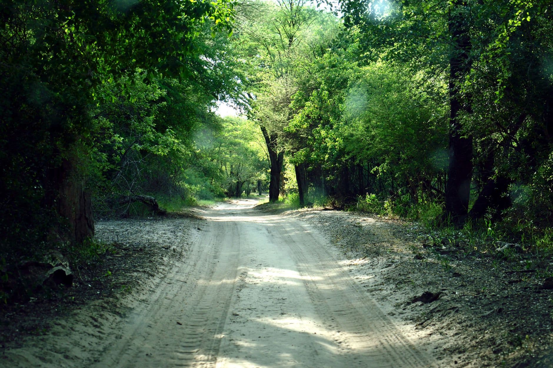 Botswana 3