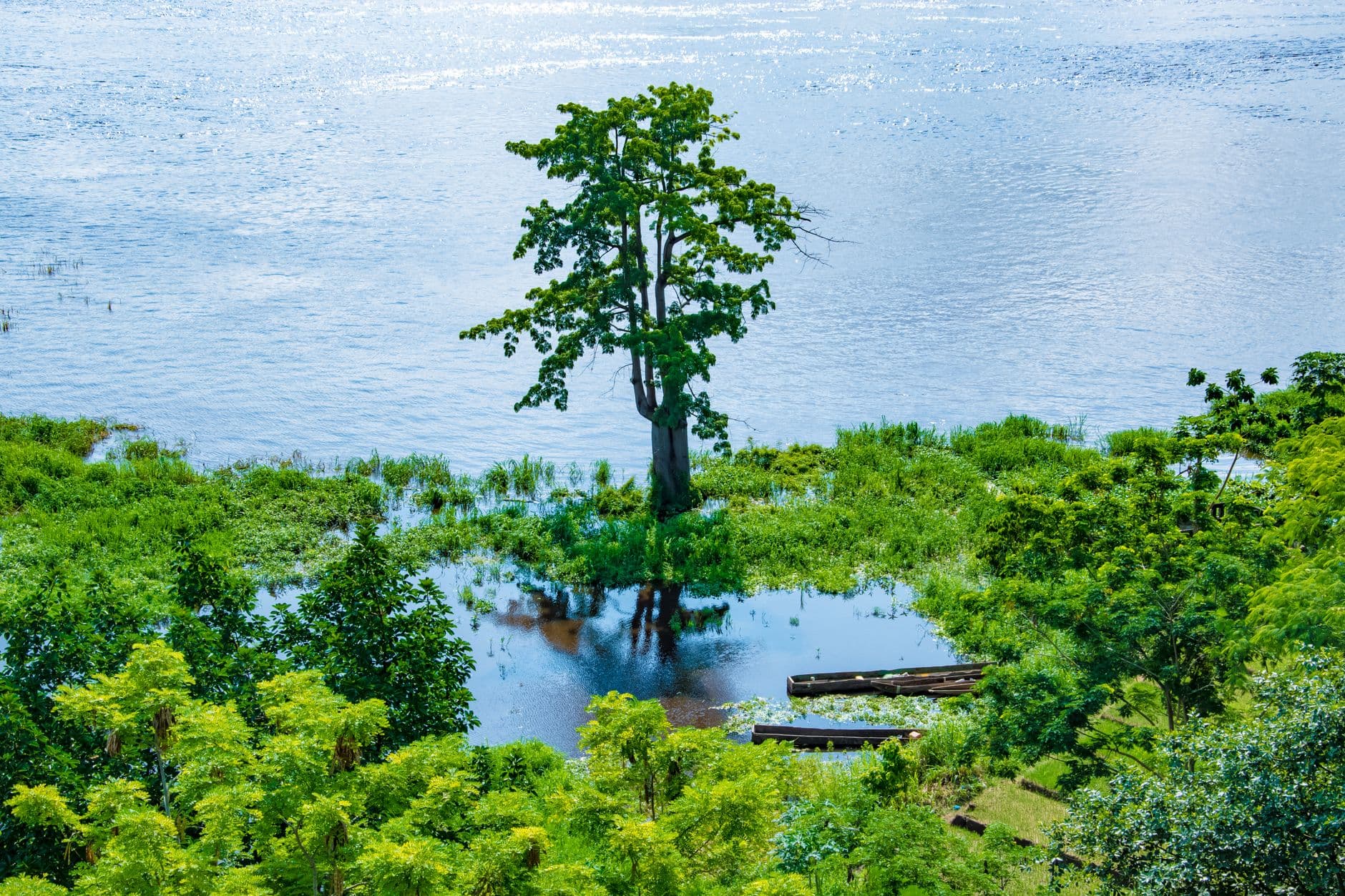 Republic of the Congo 1