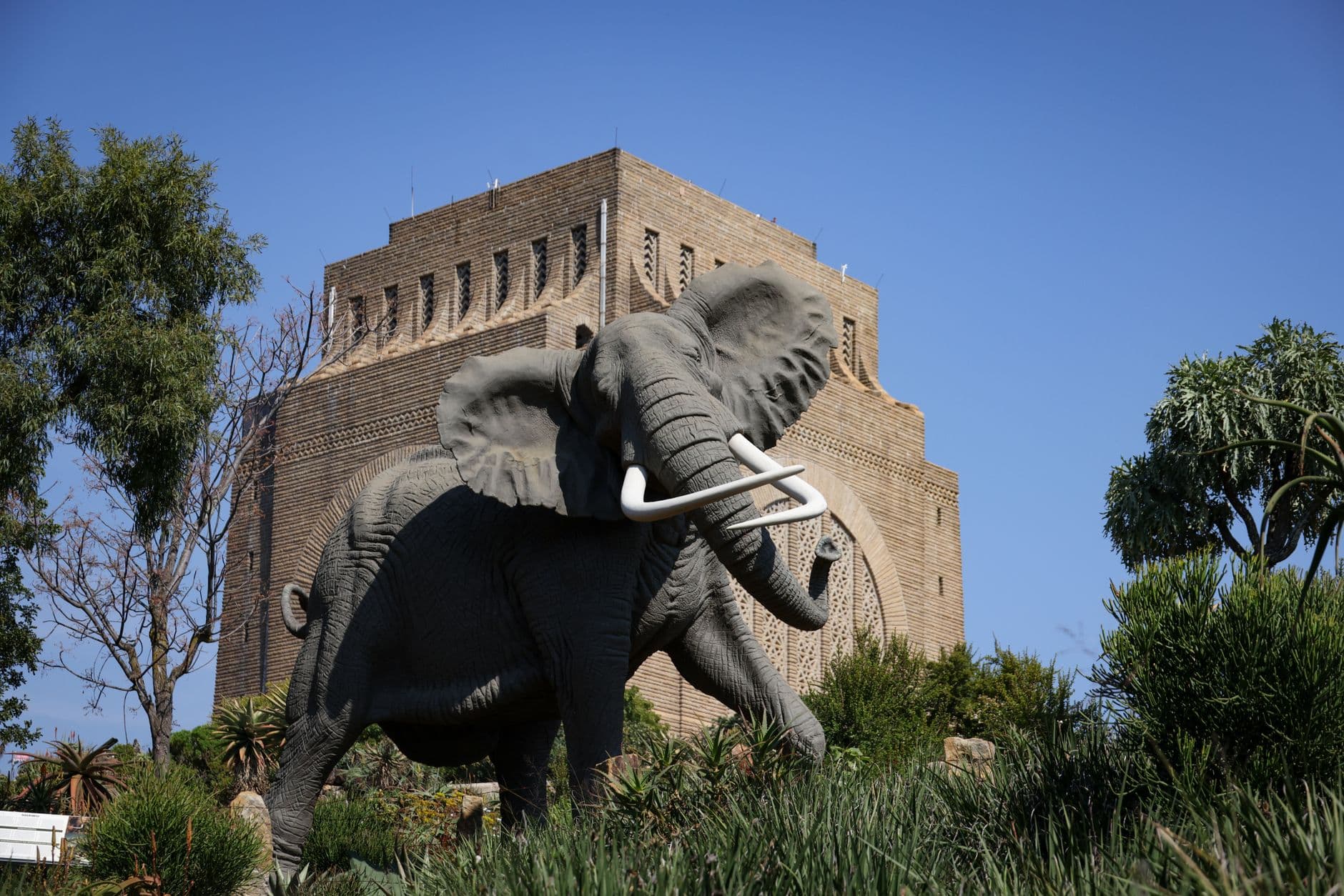 Republic of the Congo 8