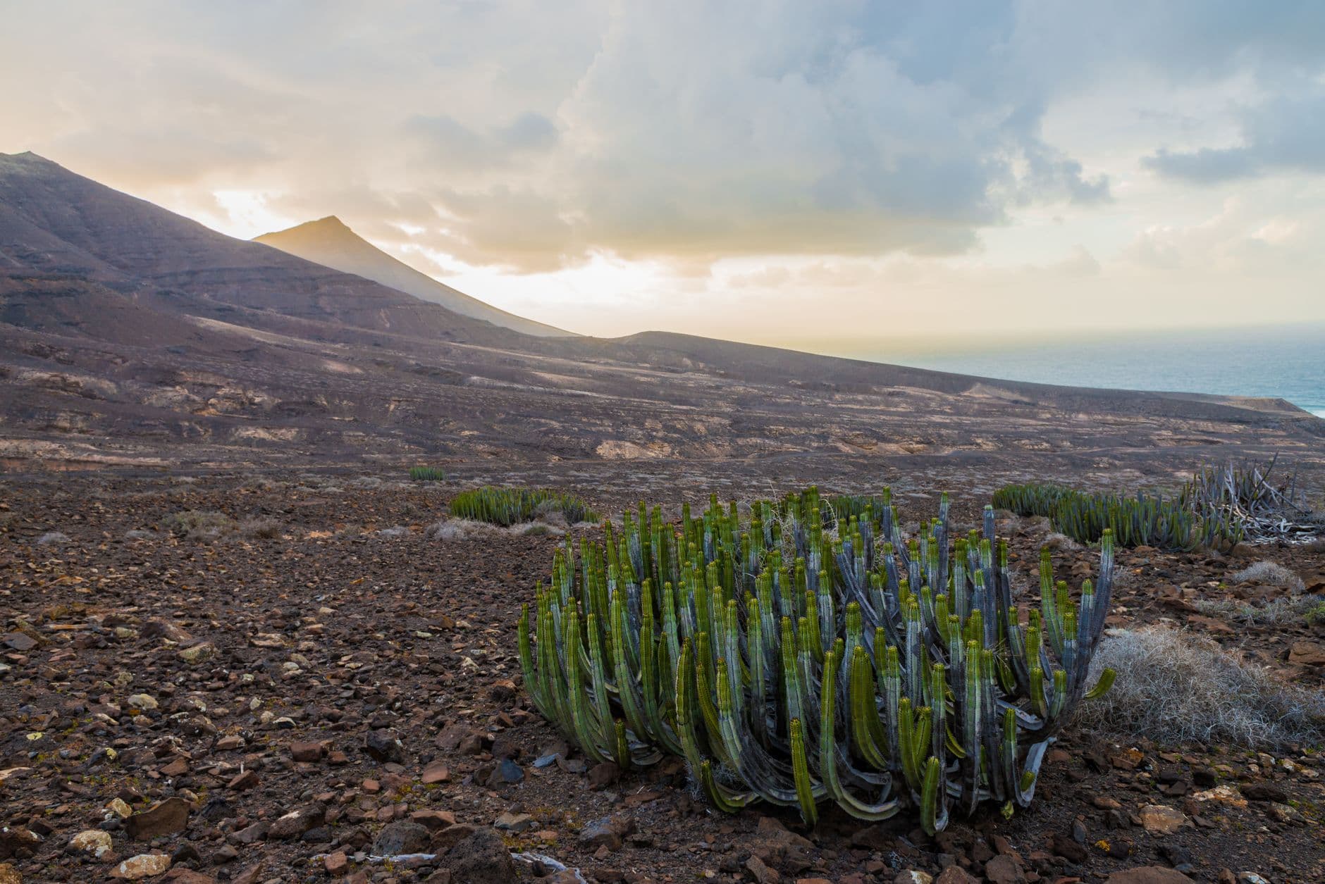 Cape Verde 6