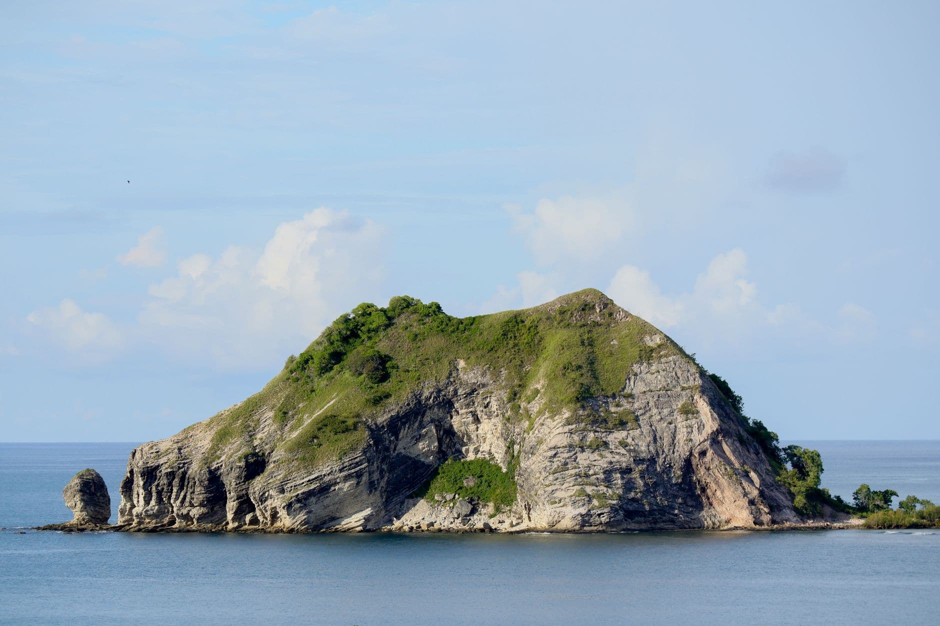Dominica 7