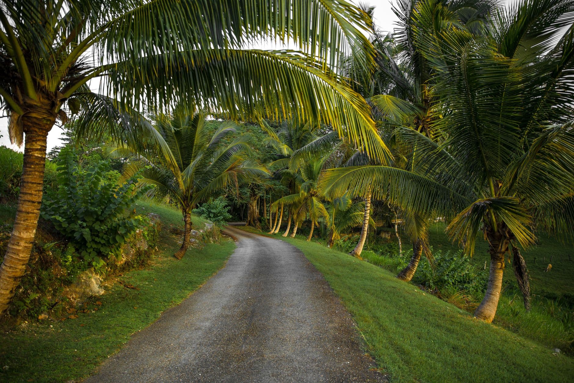 Jamaica 1