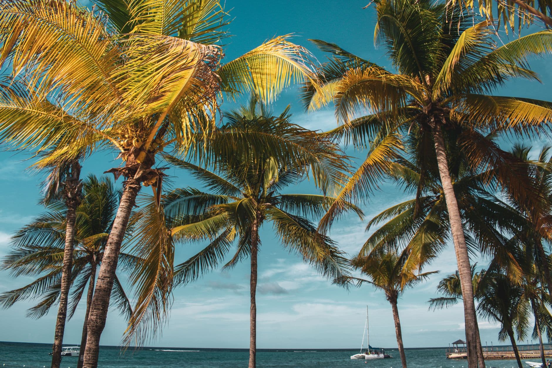 Jamaica 3