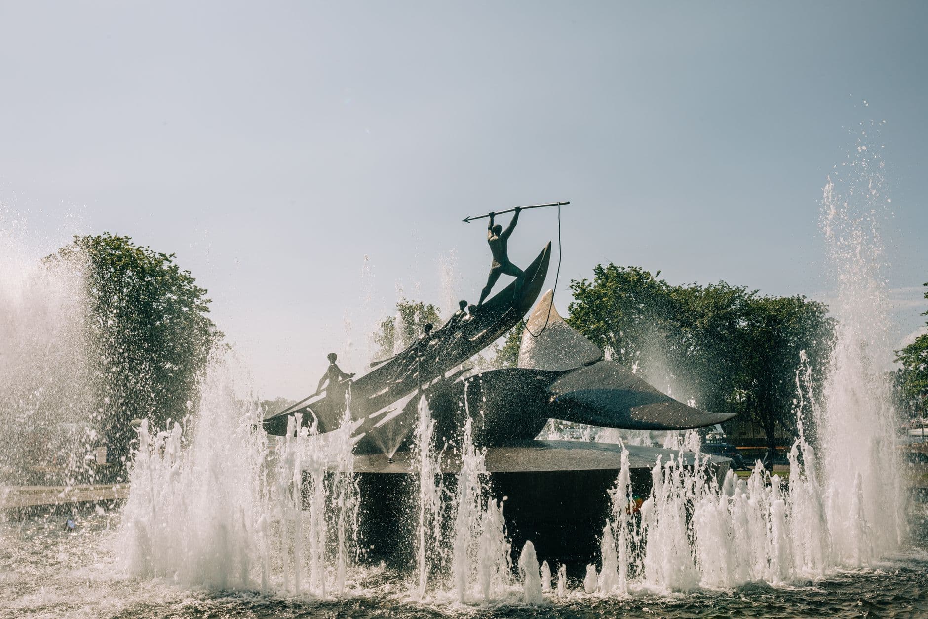 Jamaica 8