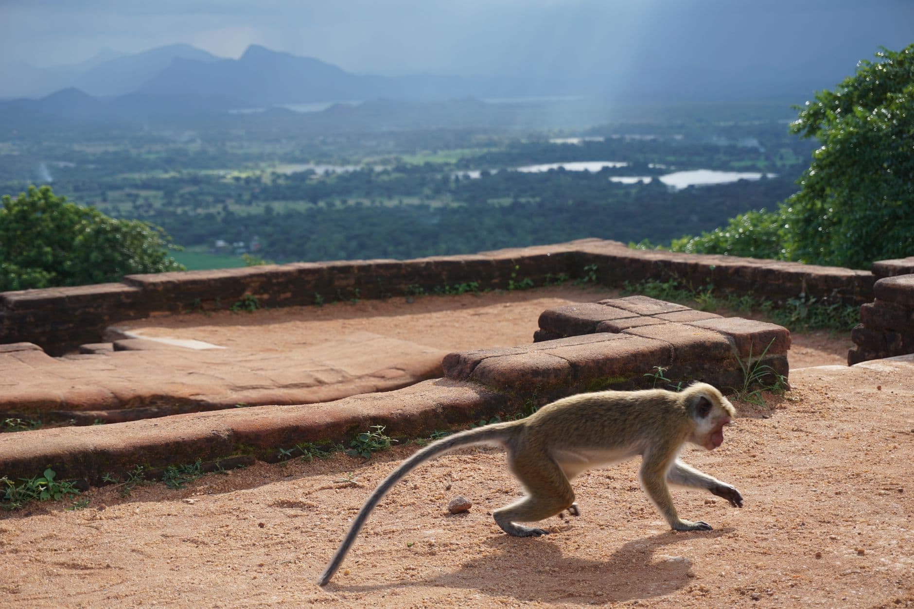 Sri Lanka 2
