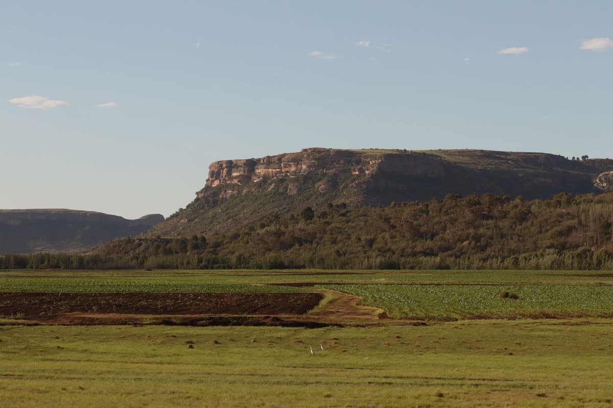 Lesotho 6