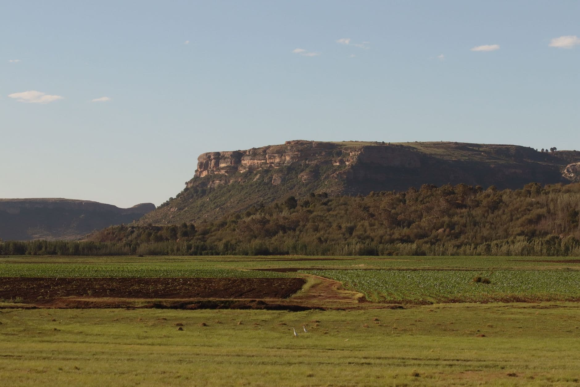 Lesotho 6