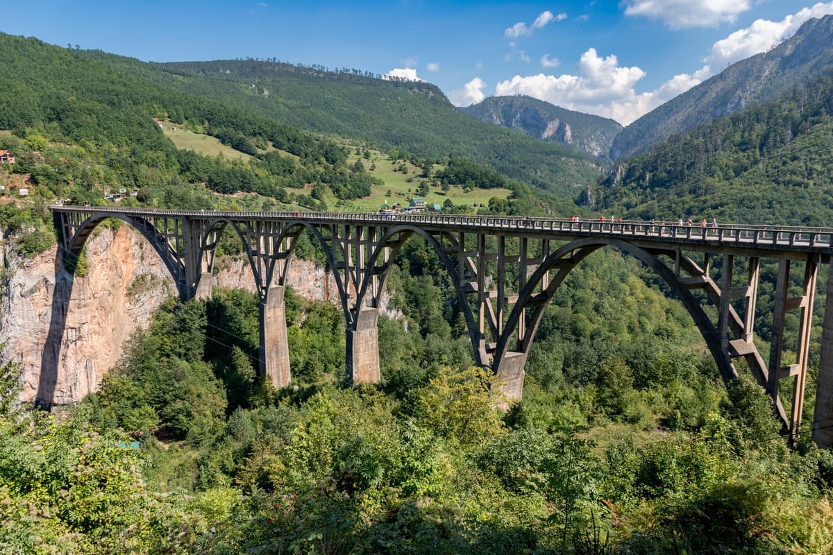 Montenegro 1