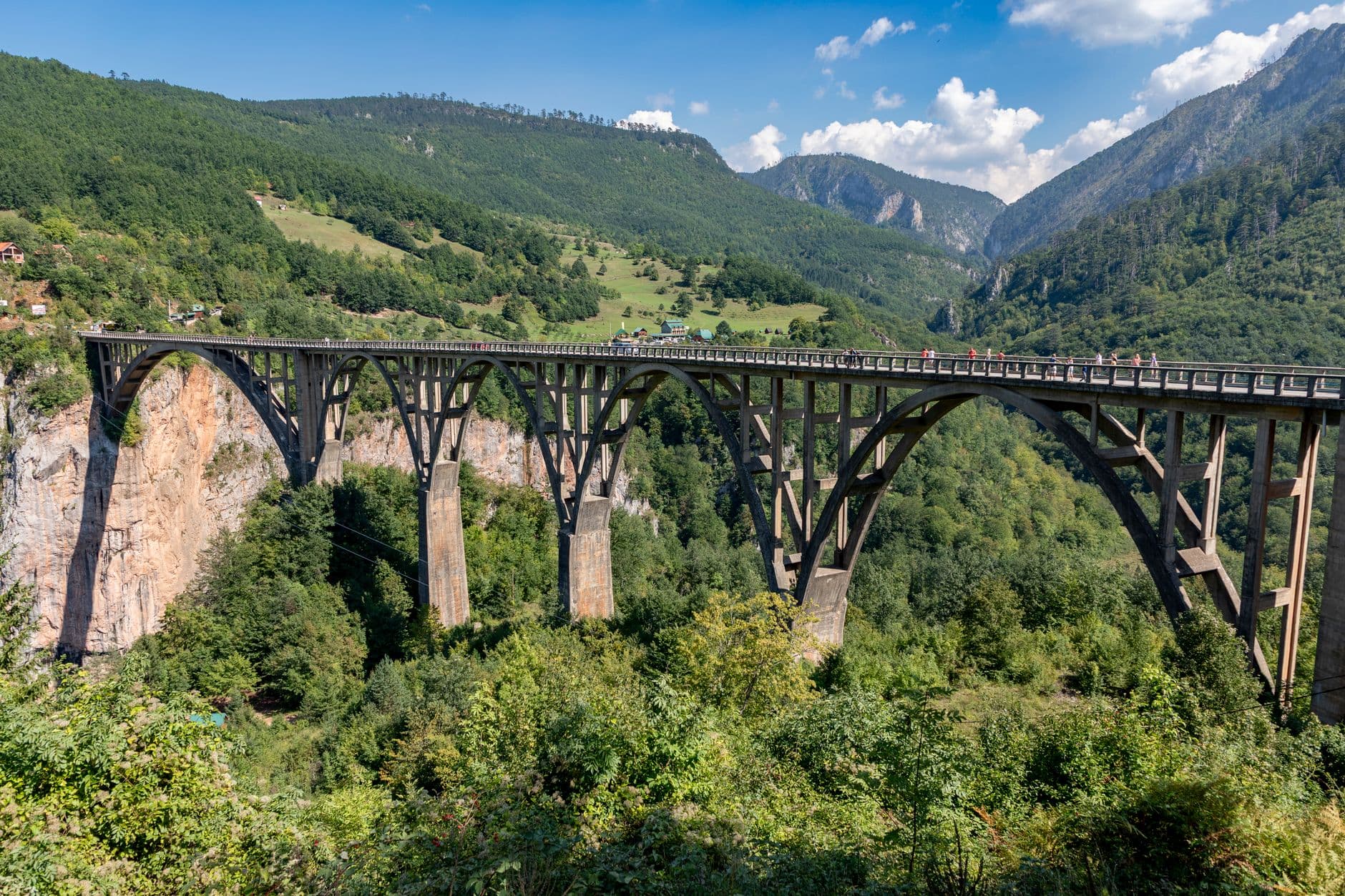Montenegro 1