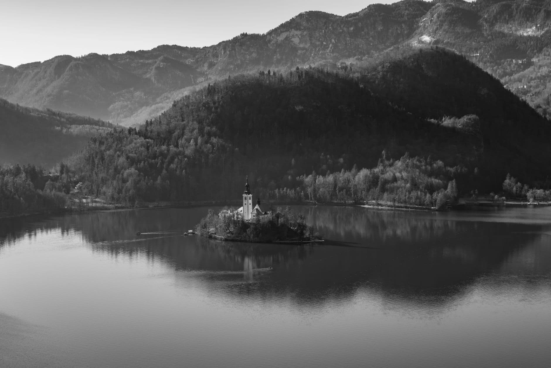 Slovenia 8