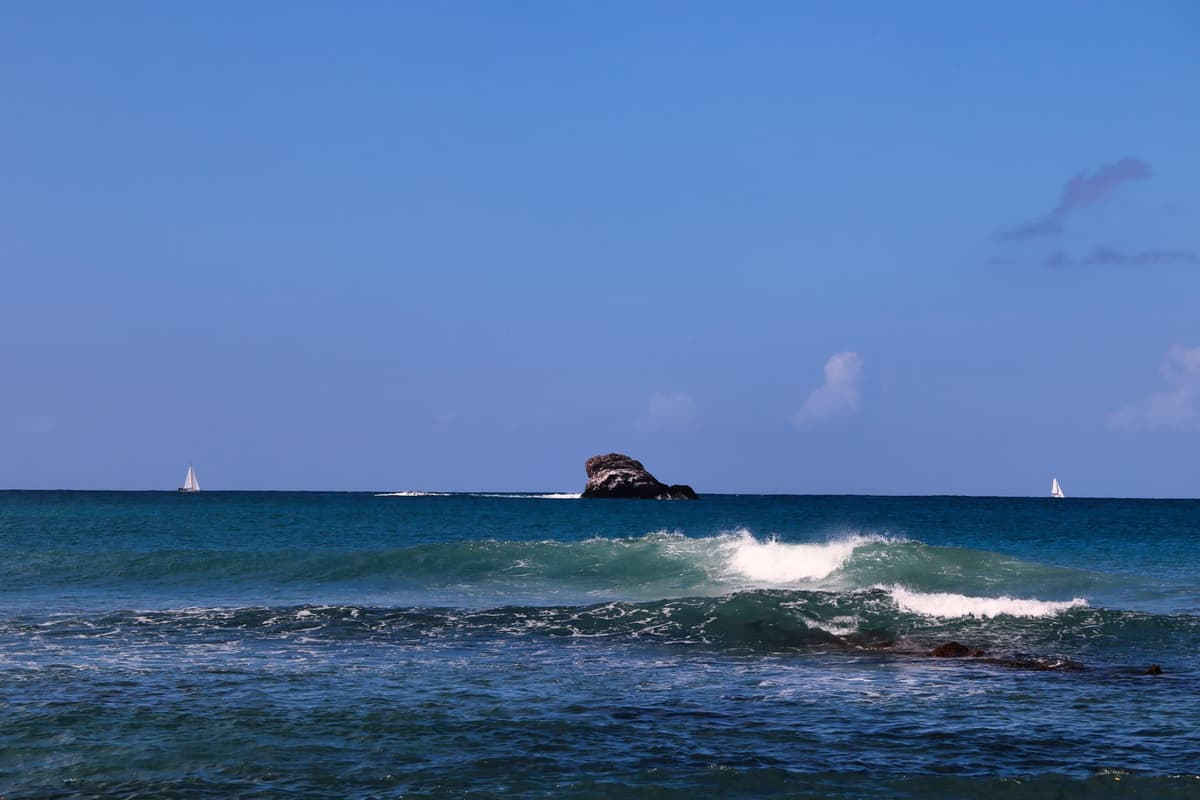 Saint Vincent and the Grenadines 6