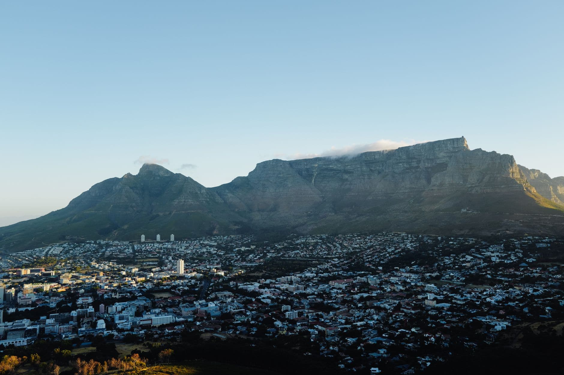 South Africa 8
