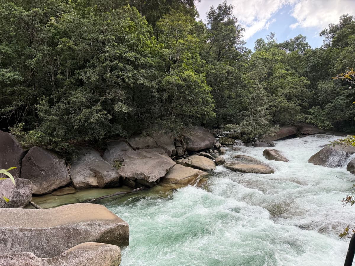 eSIM in Daintree Rainforest 2