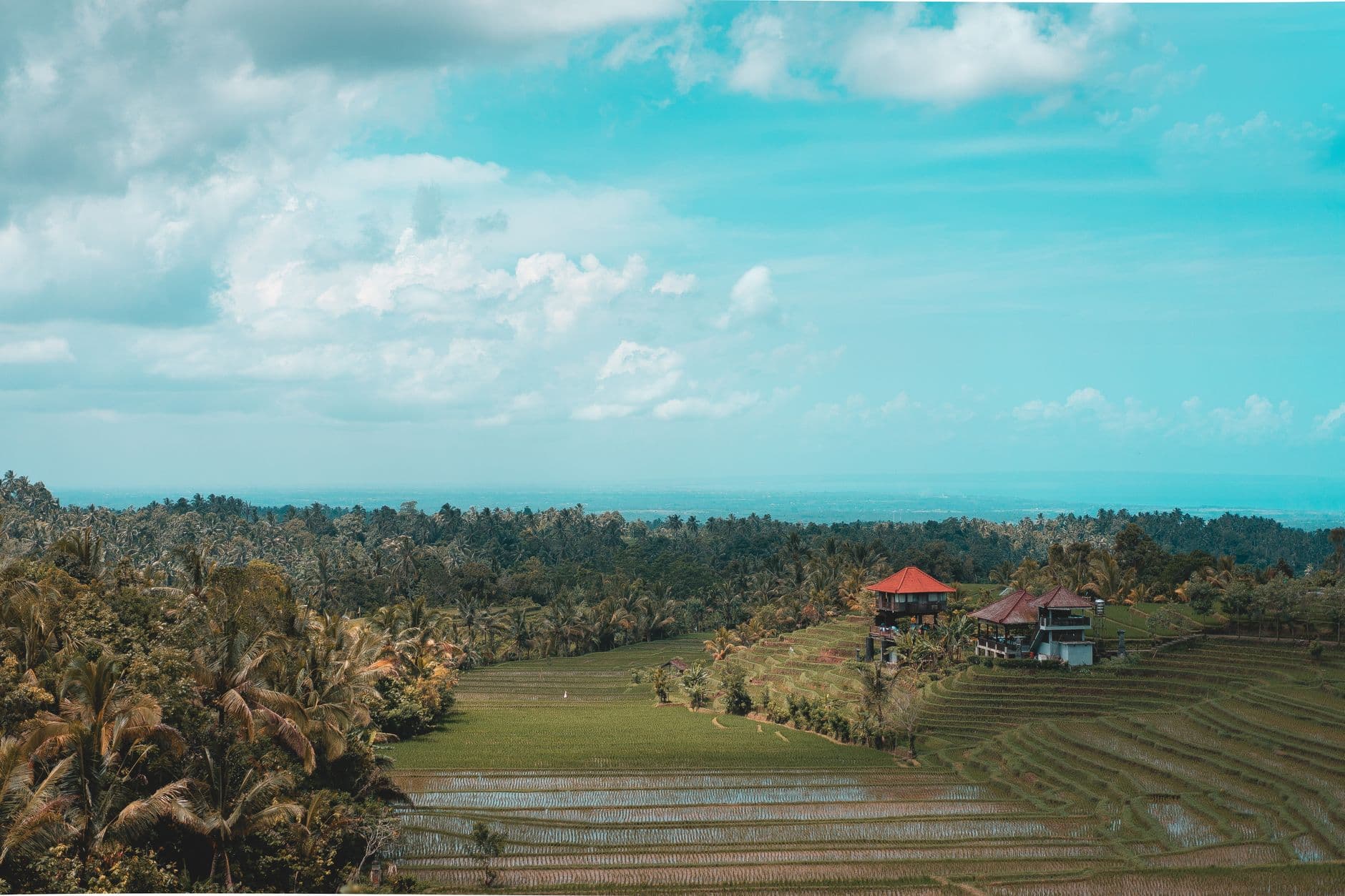 eSIM in Ubud Rice Terraces 2