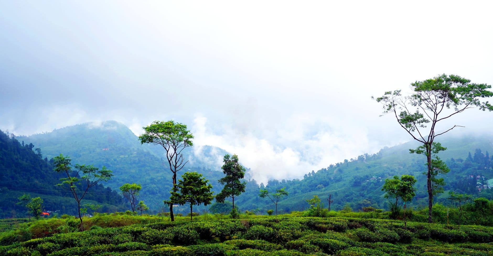 eSIM in Darjeeling 1