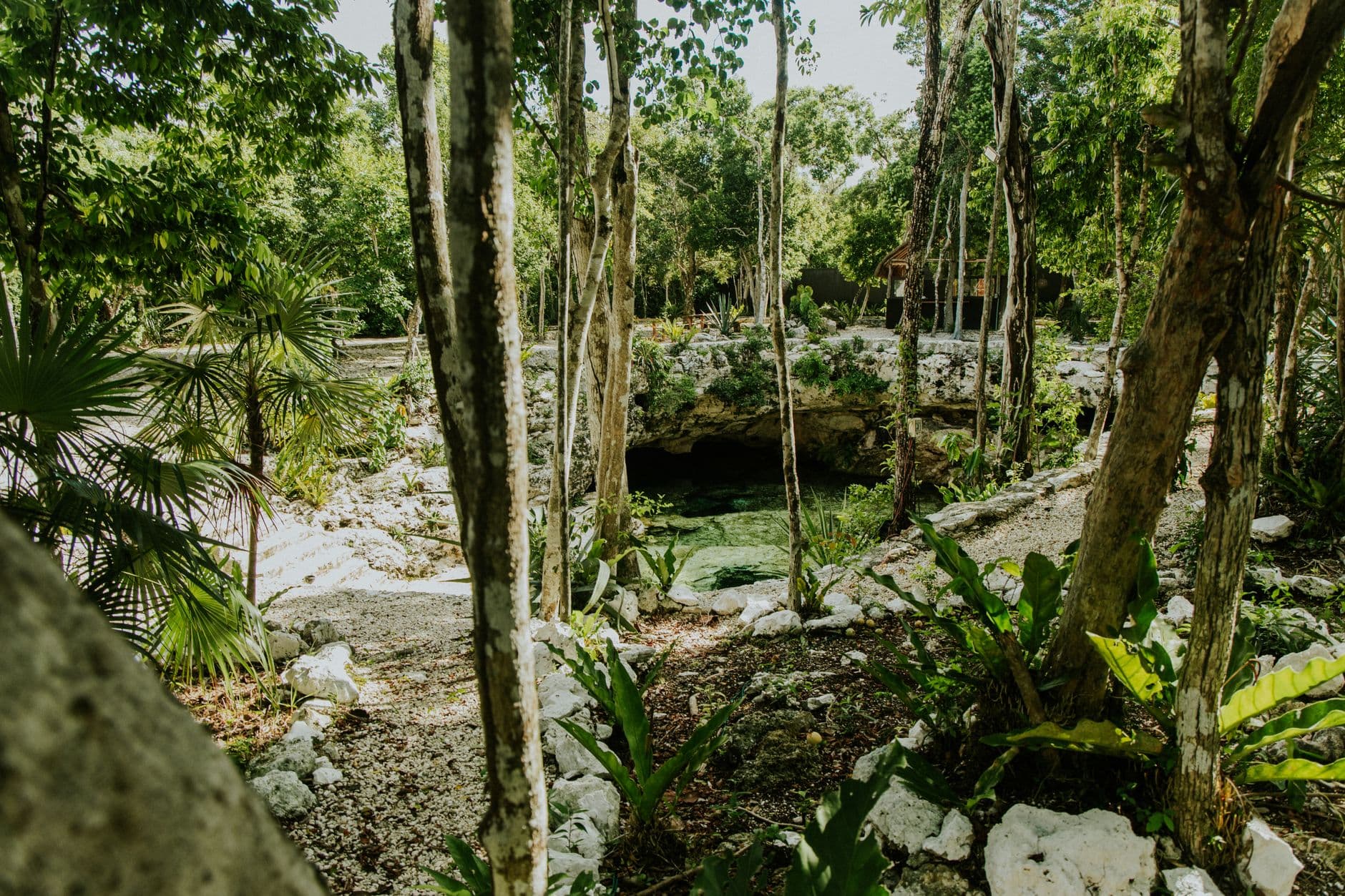 eSIM in Cenotes Yucatan 1