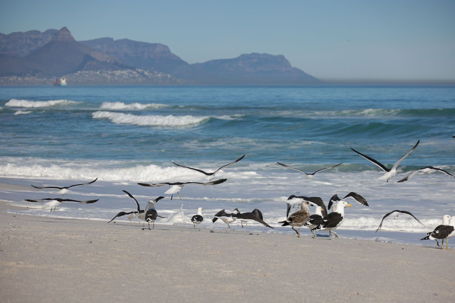 eSIM in Hermanus 1