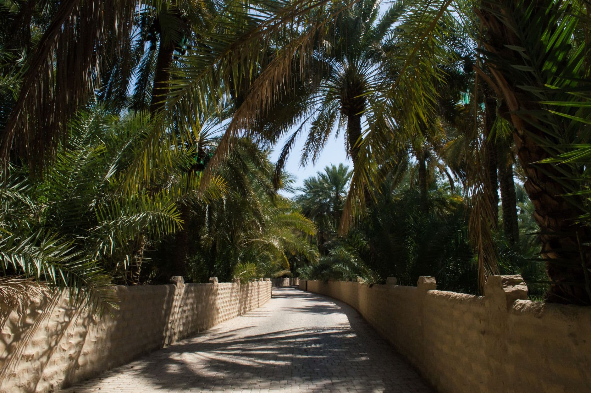 eSIM in Al Ain Oasis 1