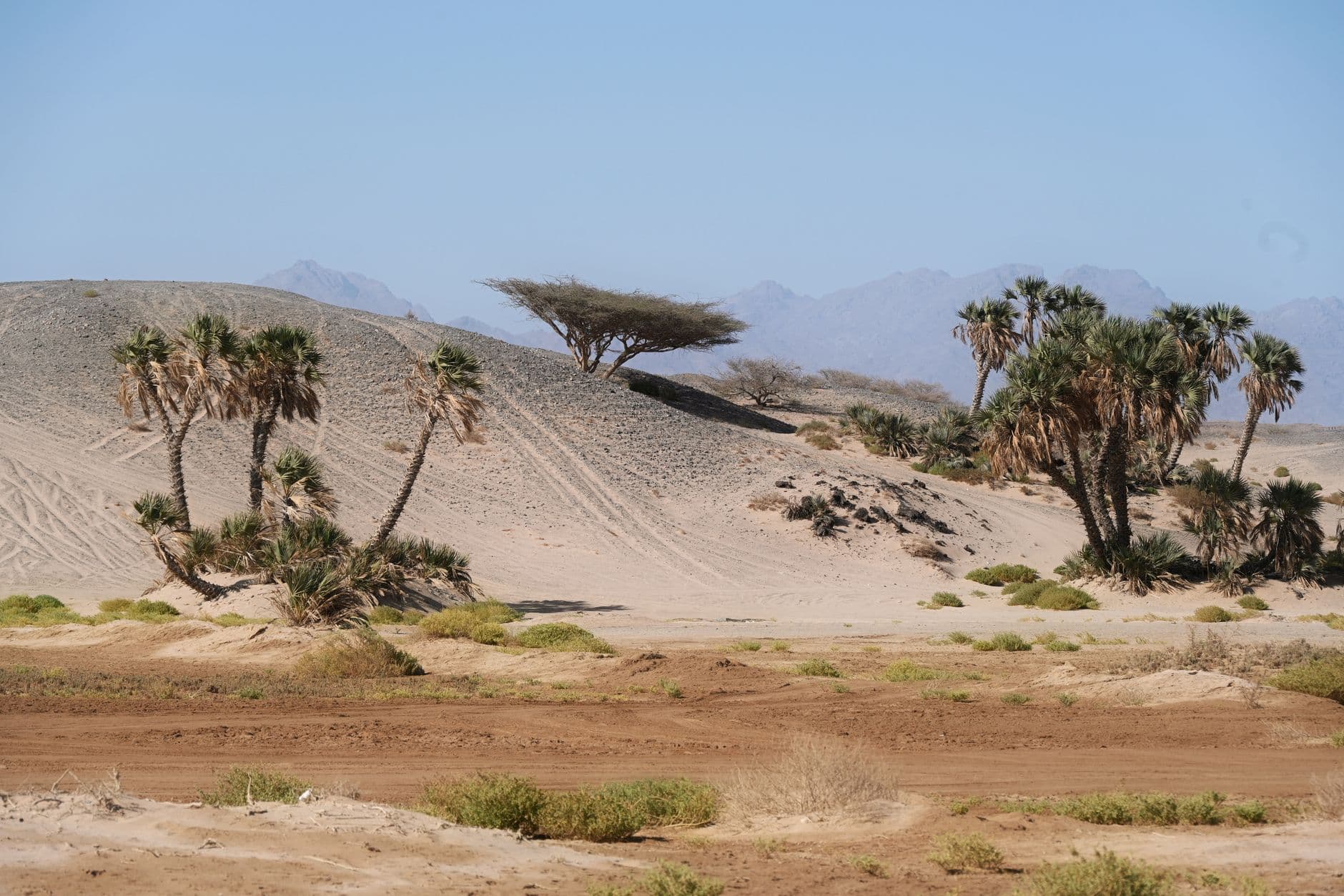 eSIM in Edge of the World Saudi 2