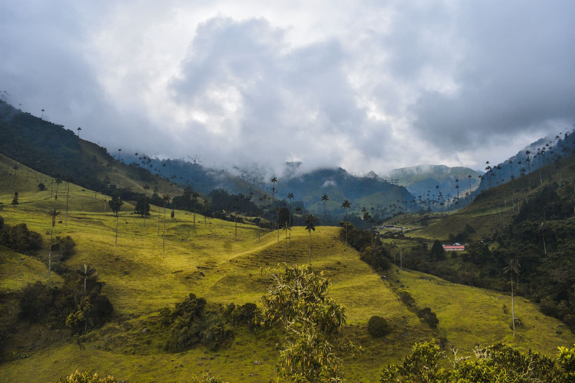 eSIM in Cocora Valley 1