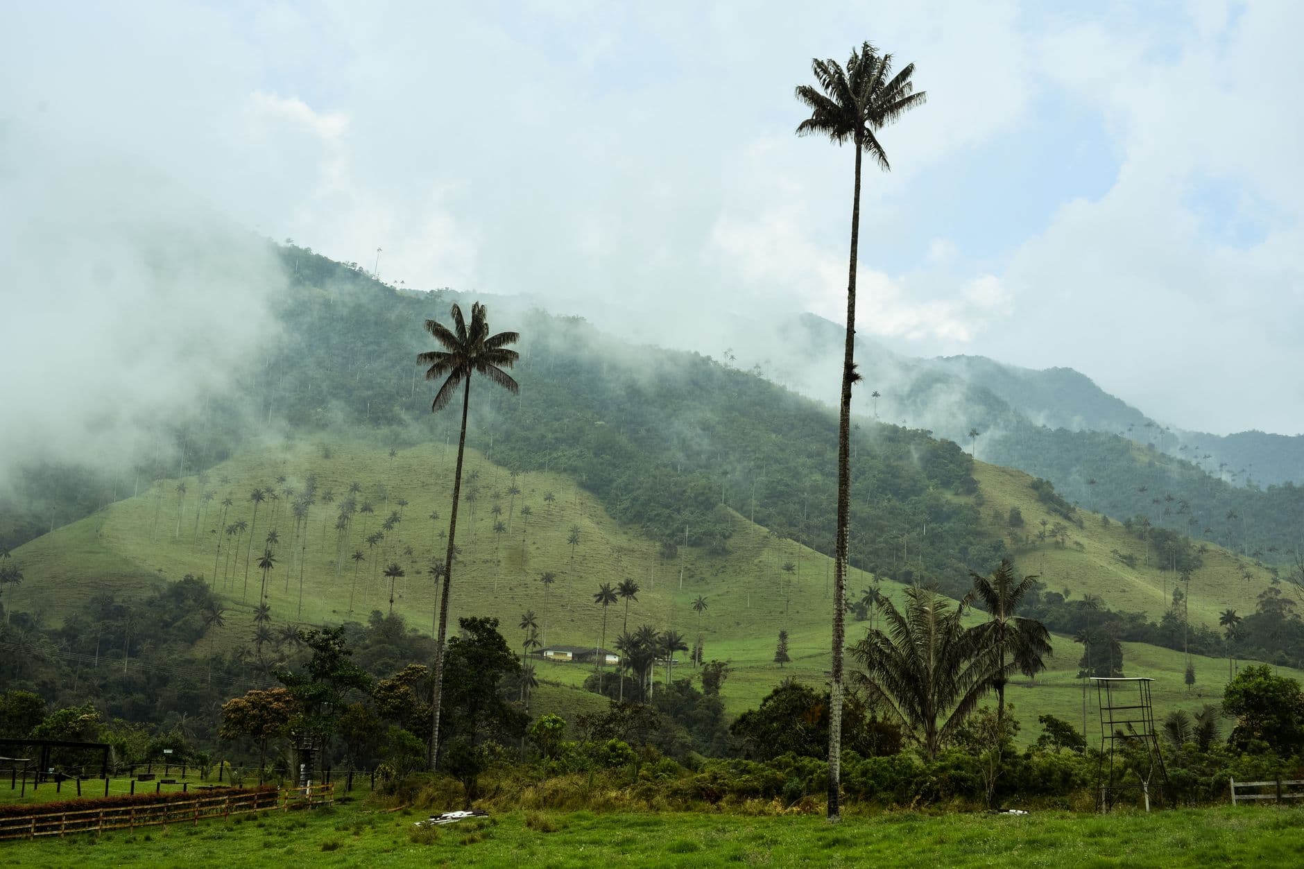 eSIM in Cocora Valley 2