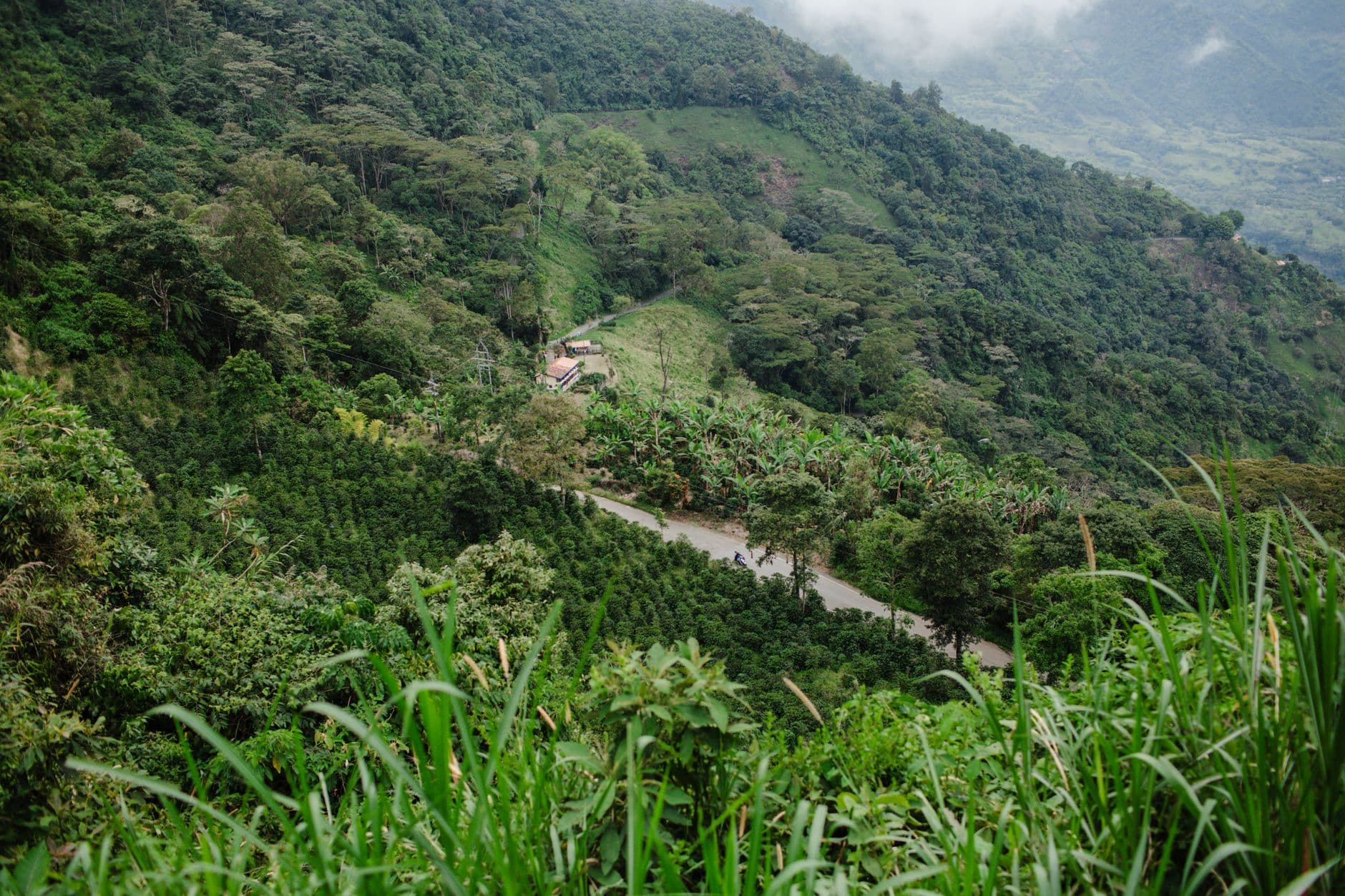 eSIM in Coffee Triangle Colombia 1