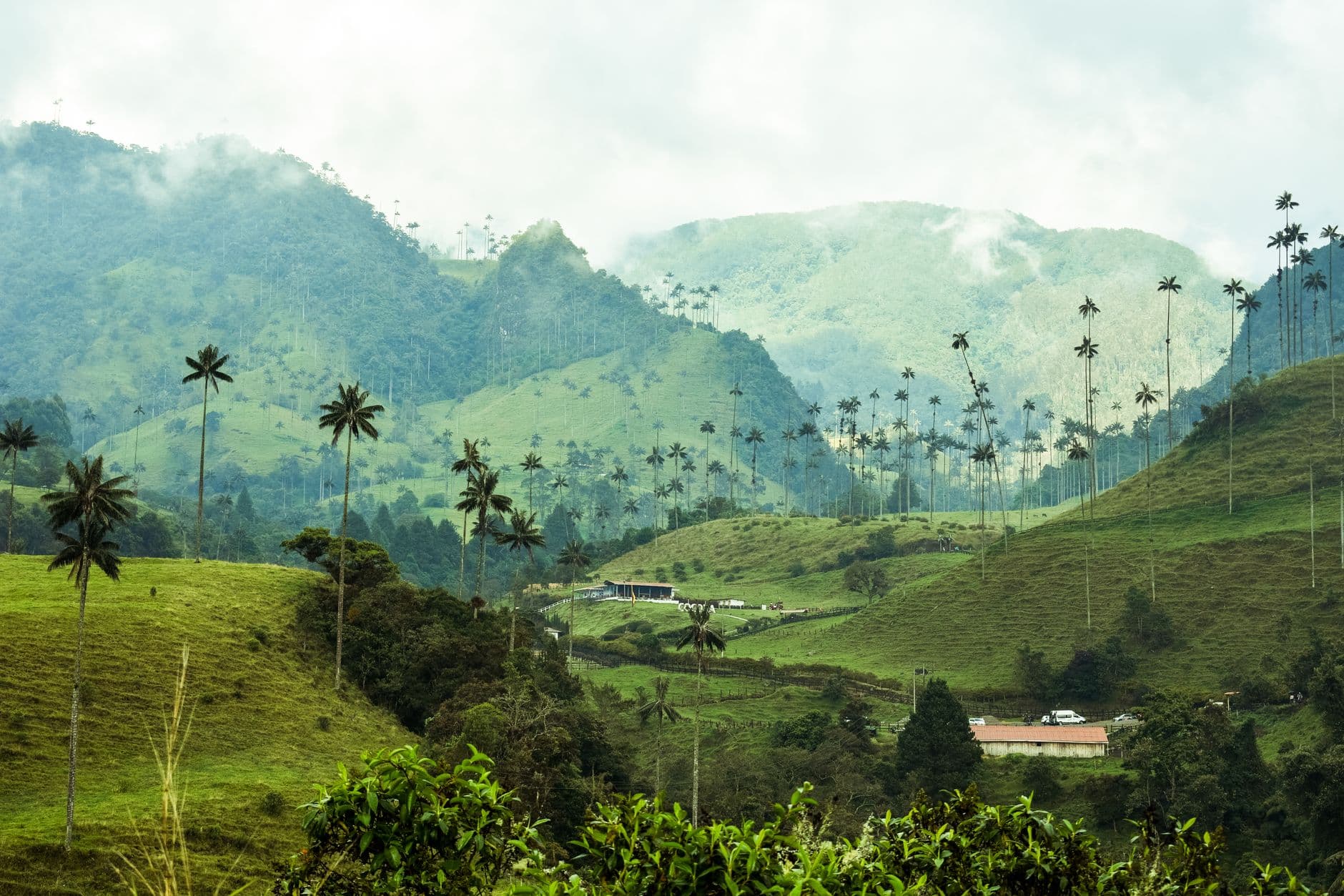 eSIM in Coffee Triangle Colombia 2