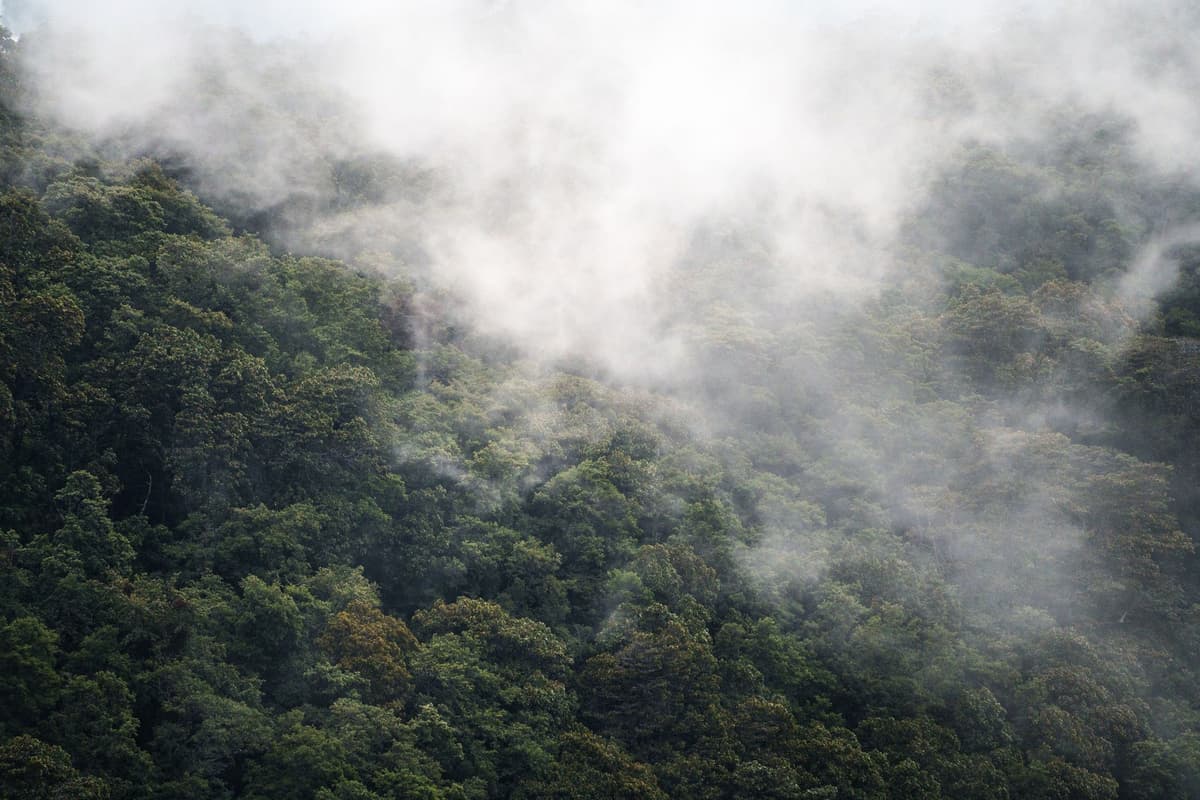 eSIM in Monteverde Cloud Forest 1