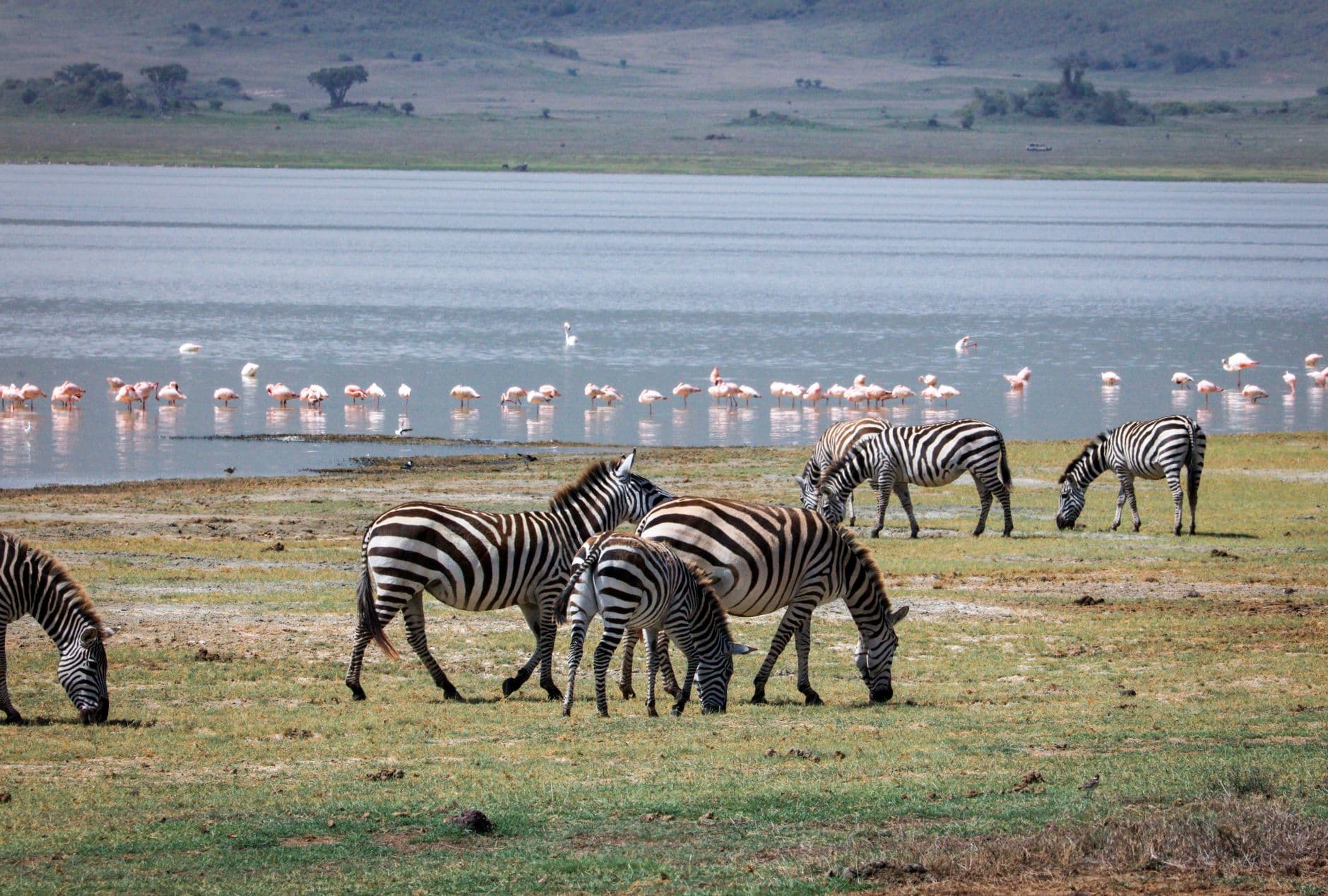 eSIM in Lake Manyara 1