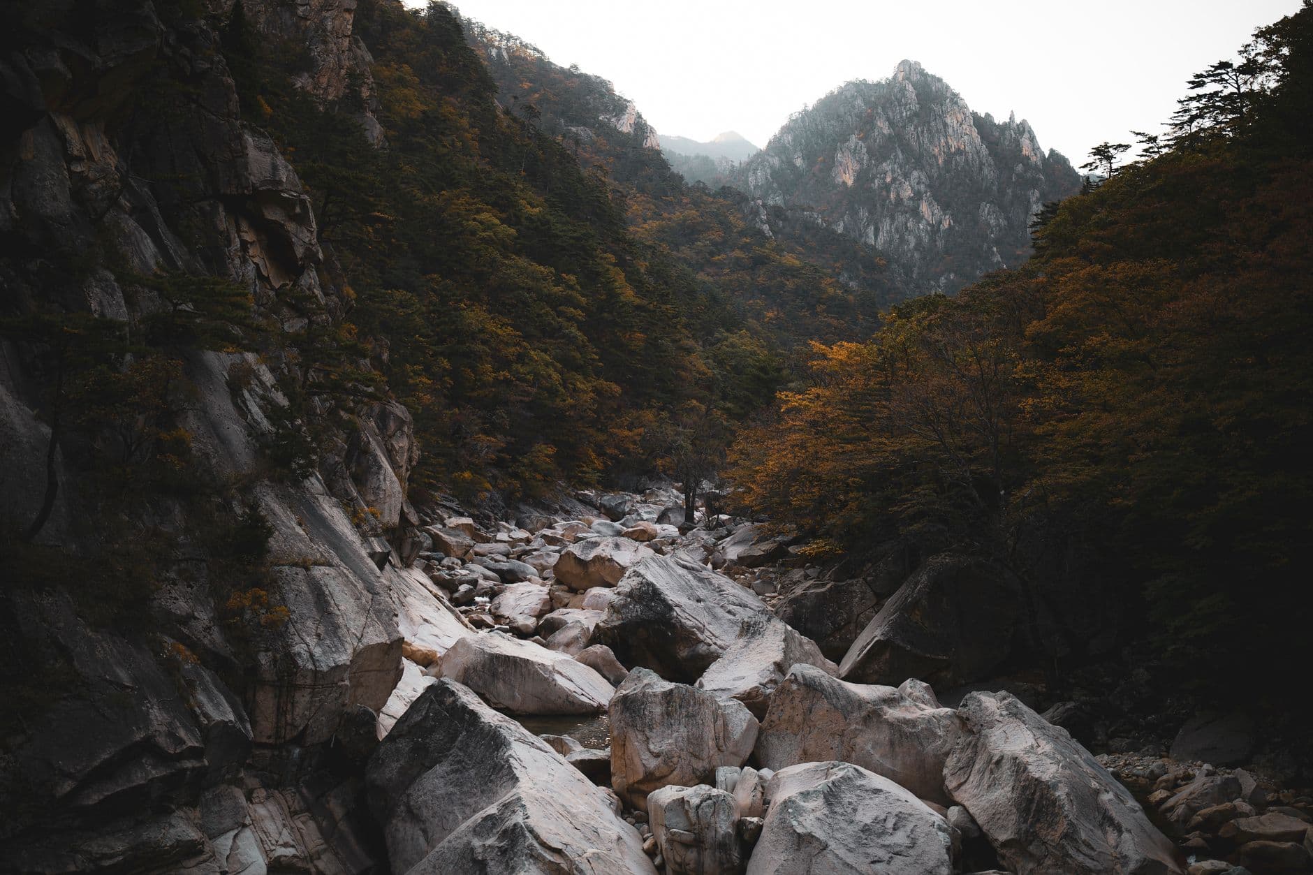 eSIM in Jirisan National Park 2