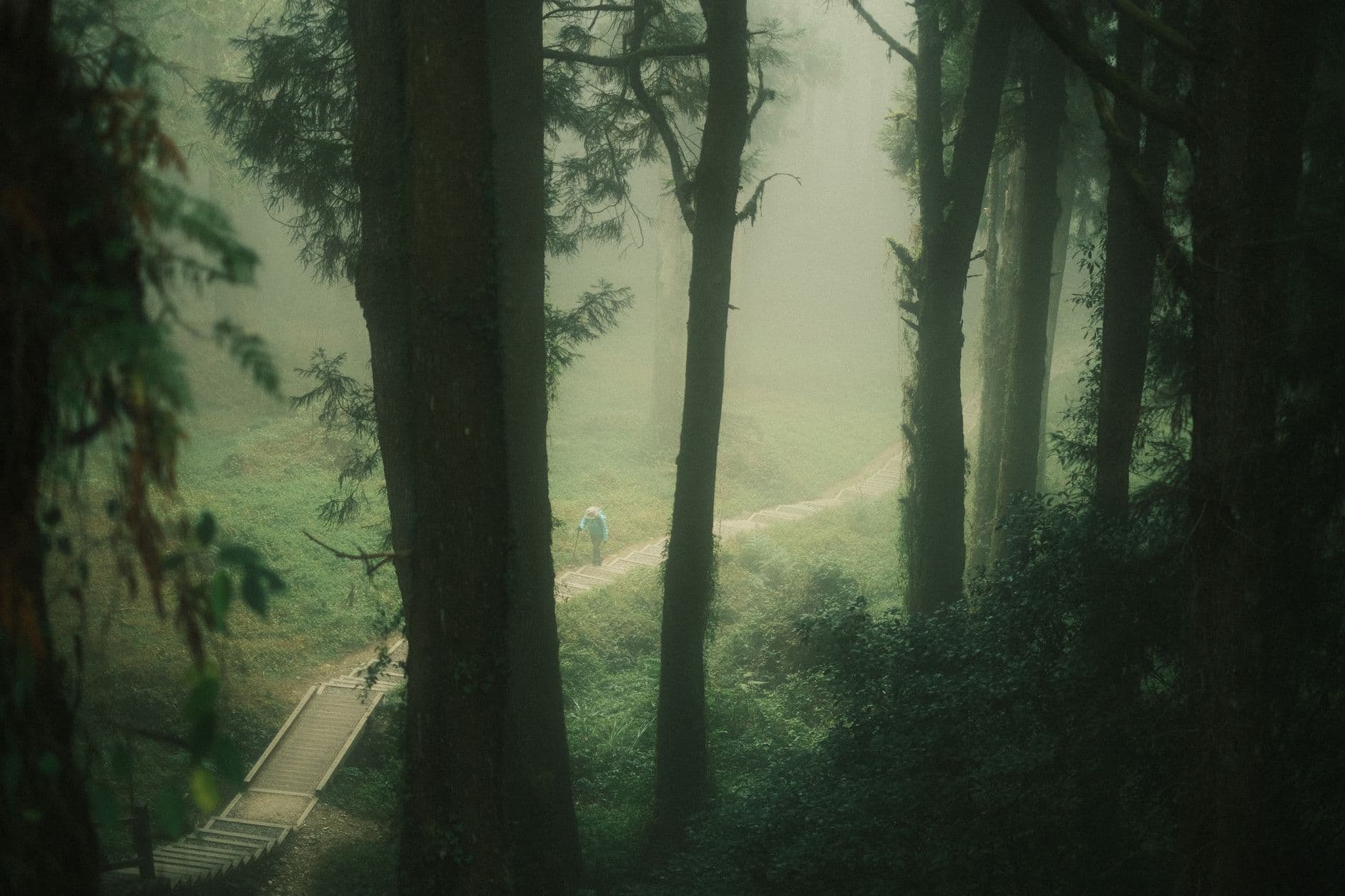 eSIM in Alishan 1