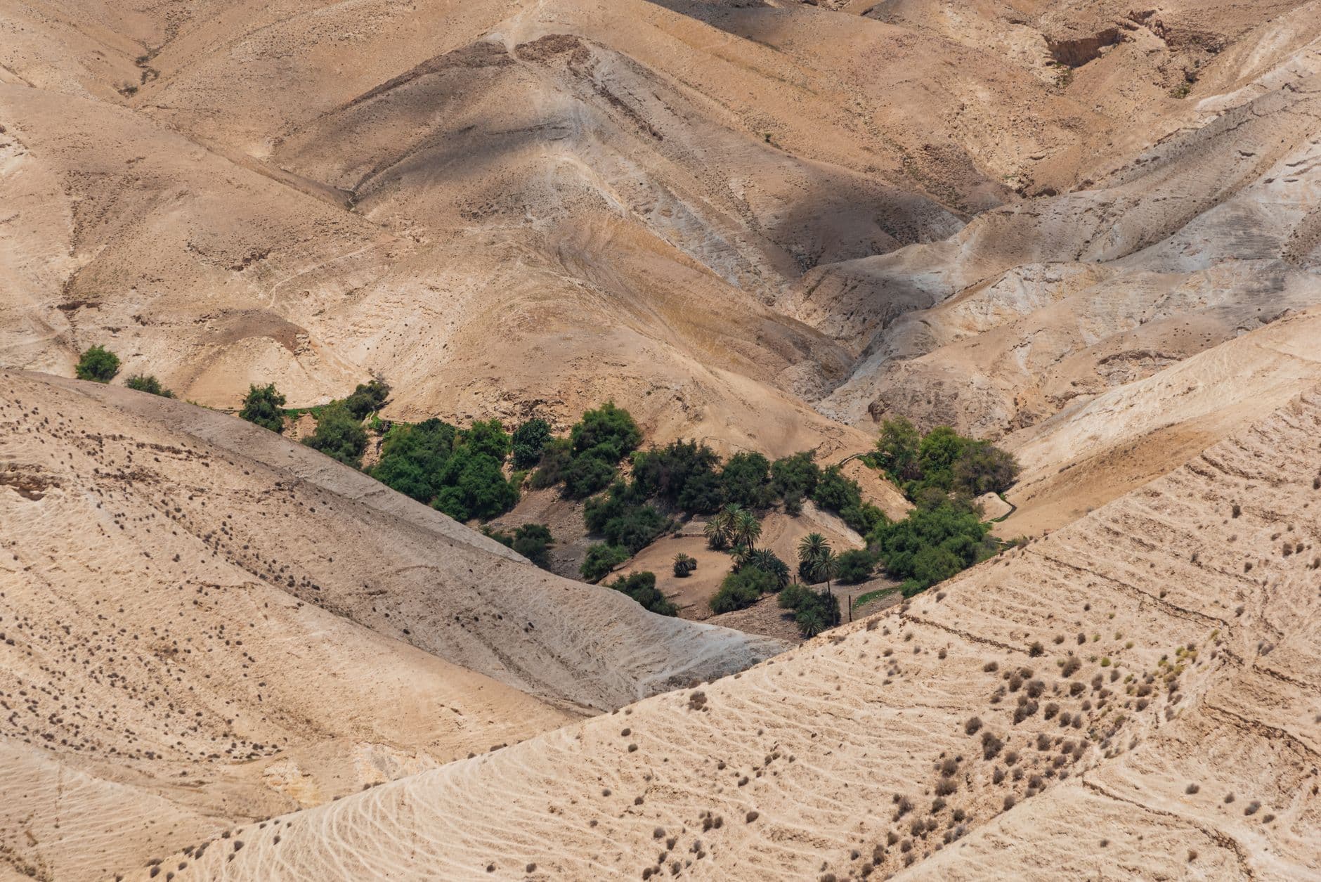 eSIM in Dana Nature Reserve 2