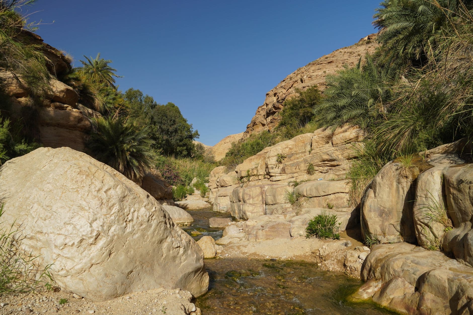eSIM in Wadi Shab 2