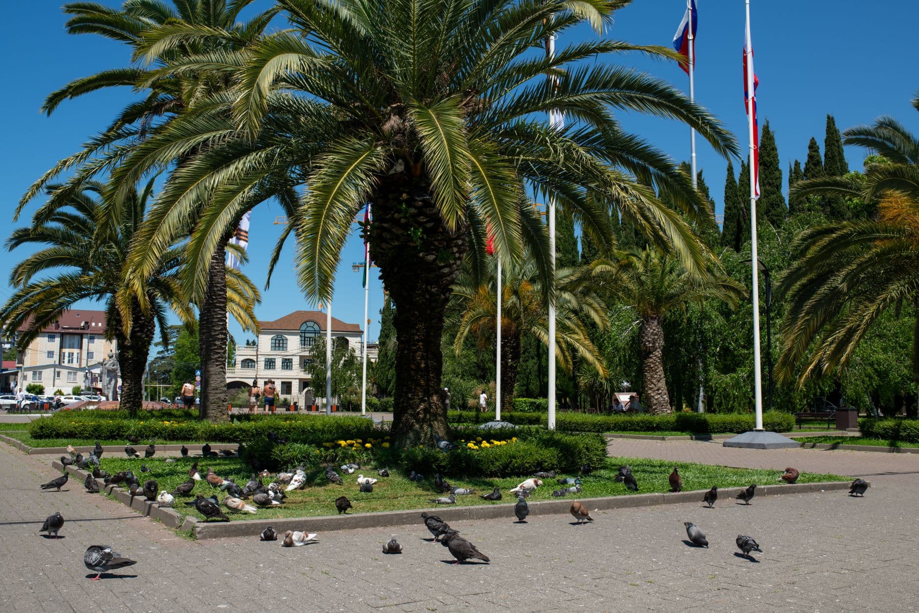 eSIM in Batumi Botanical Garden 1