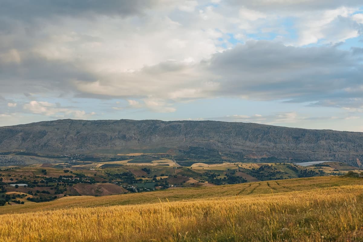 eSIM in Jermuk 1