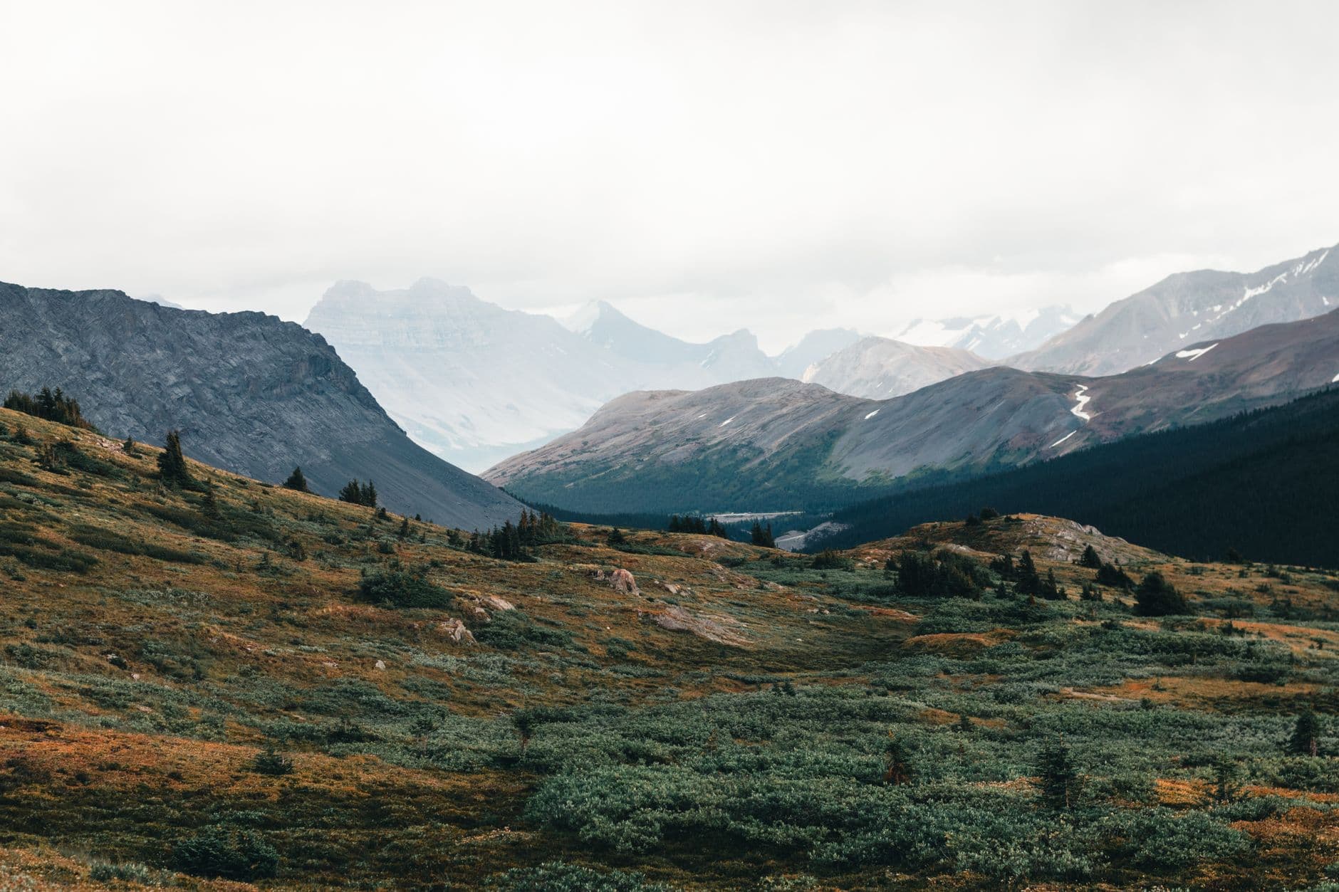 eSIM in Jasper National Park 1