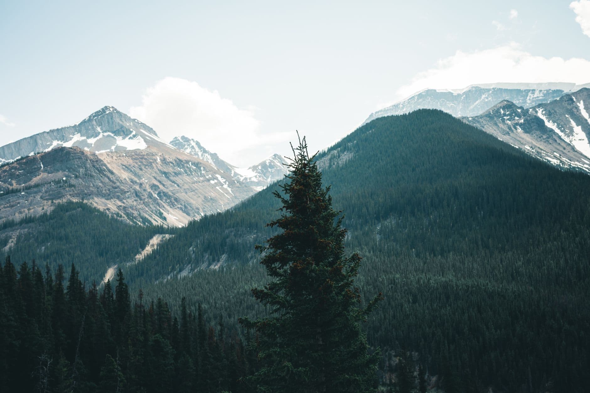 eSIM in Jasper National Park 2