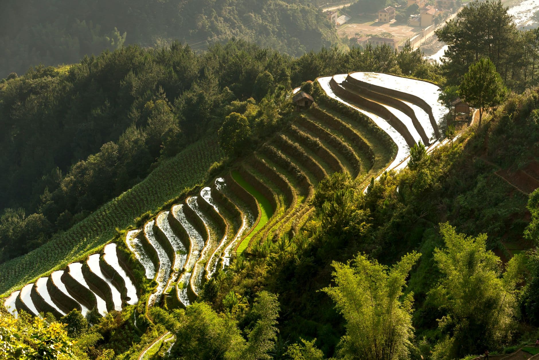 eSIM in Longji Rice Terraces 2