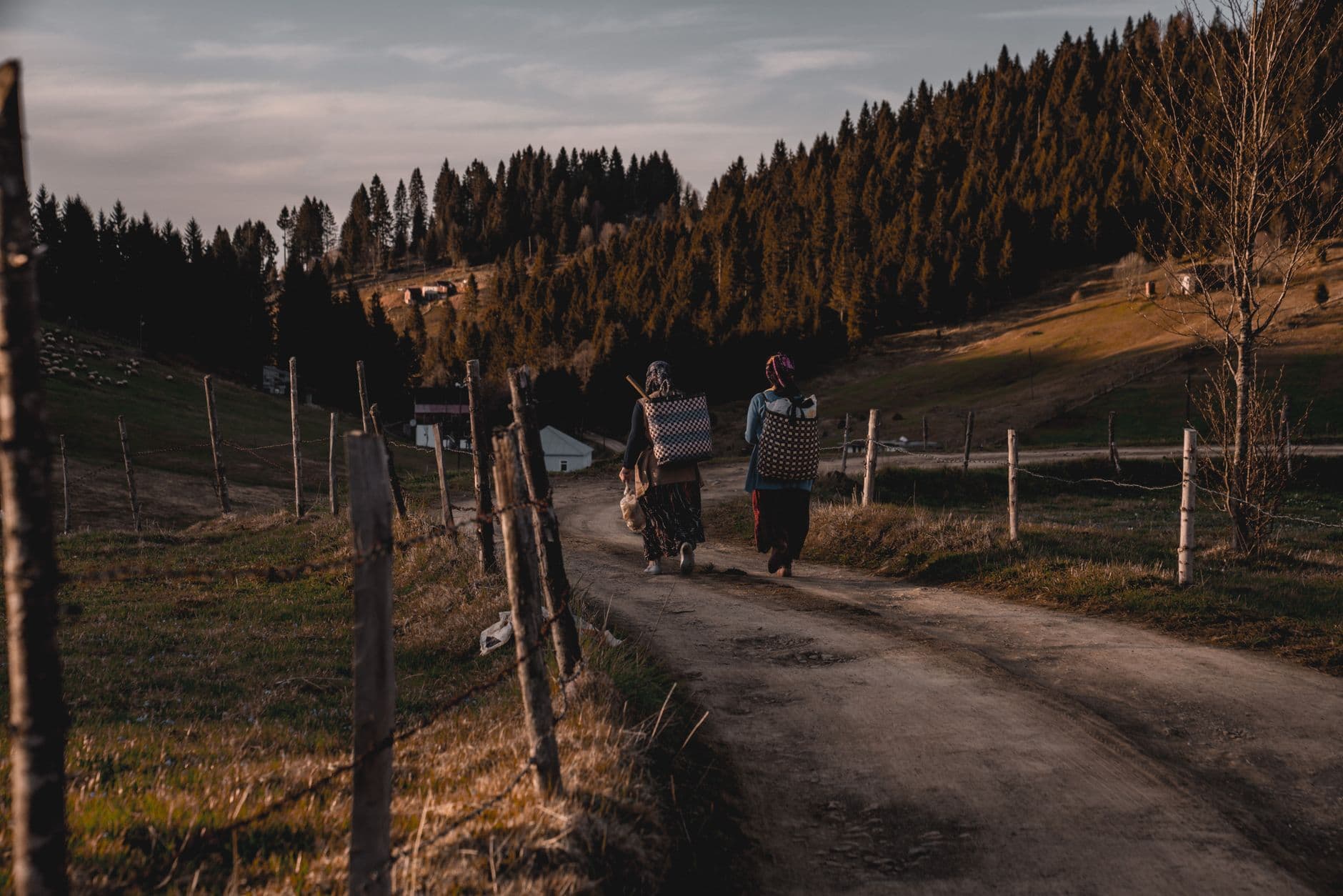 eSIM in Maramures 2