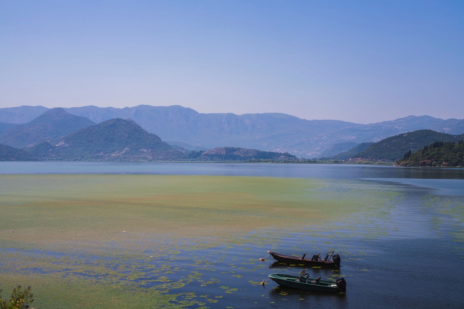 eSIM in Lake Skadar 2