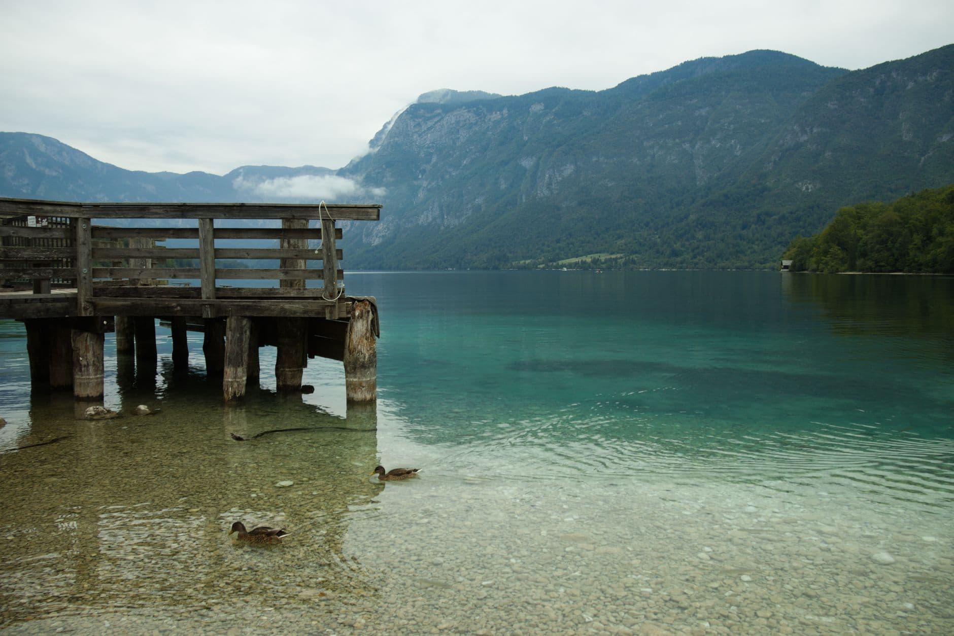 eSIM in Lake Bohinj 2