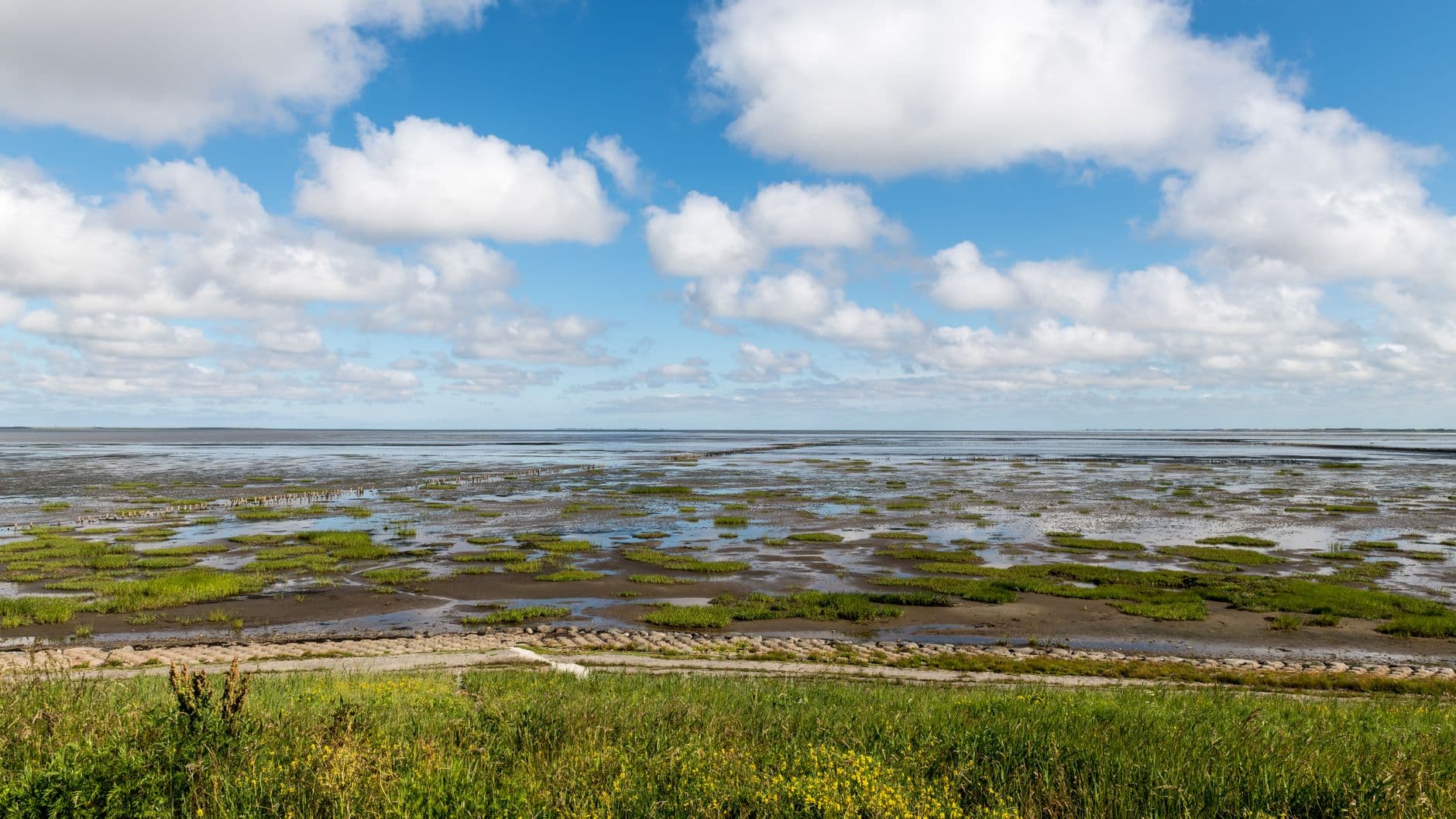eSIM in Wadden Sea 2