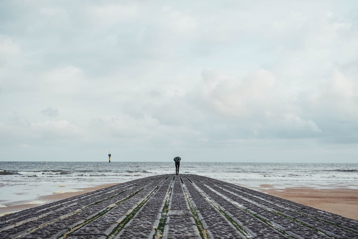 eSIM in Belgian Coast 2