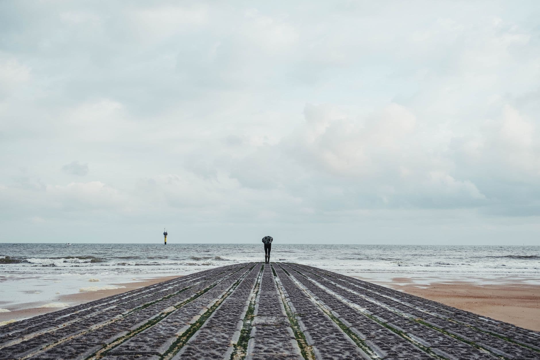 eSIM in Belgian Coast 2