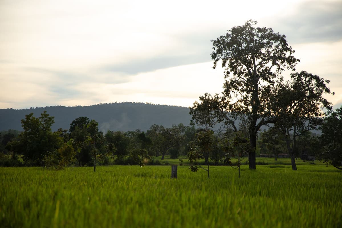 eSIM in Bolaven Plateau 1