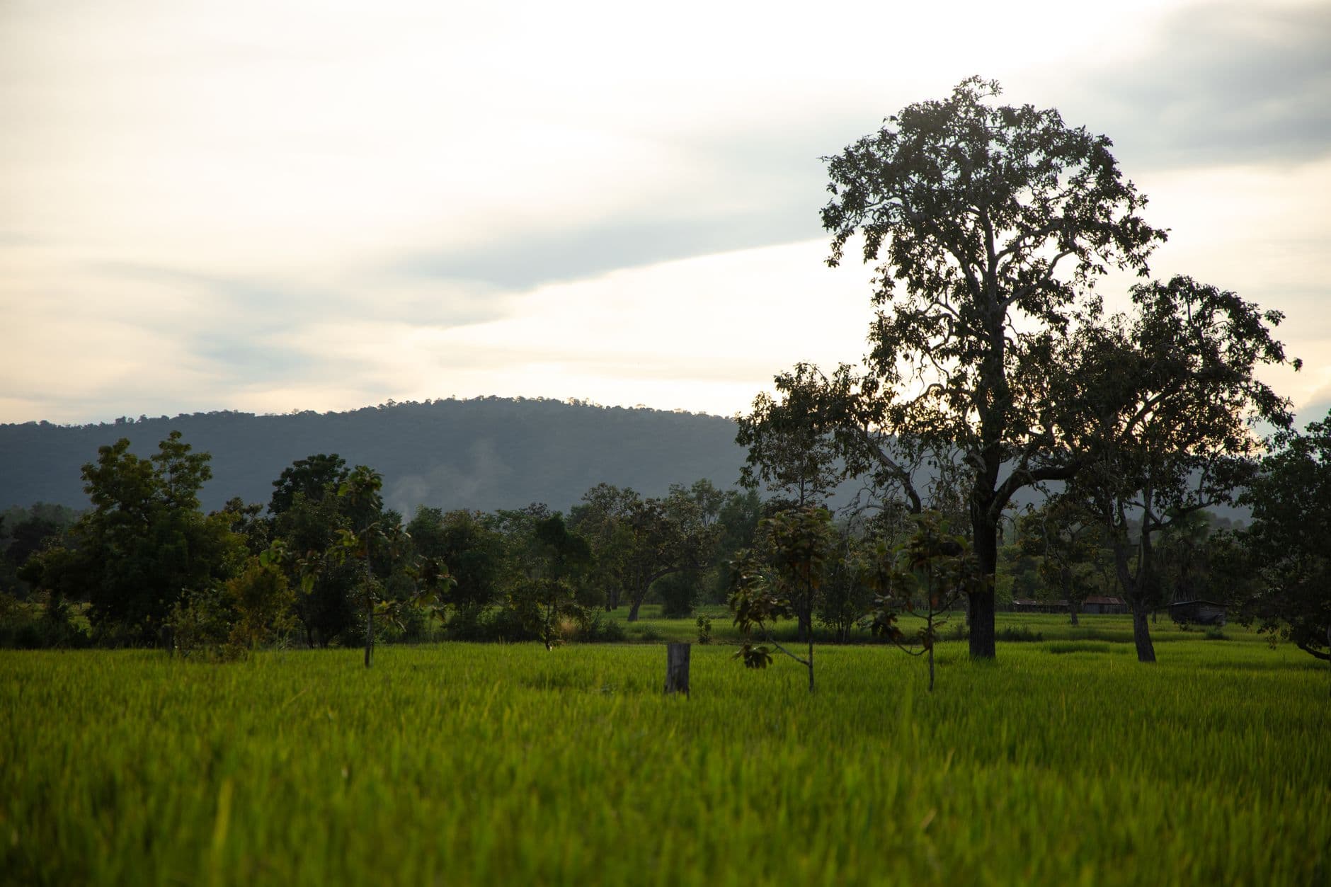 eSIM in Bolaven Plateau 1