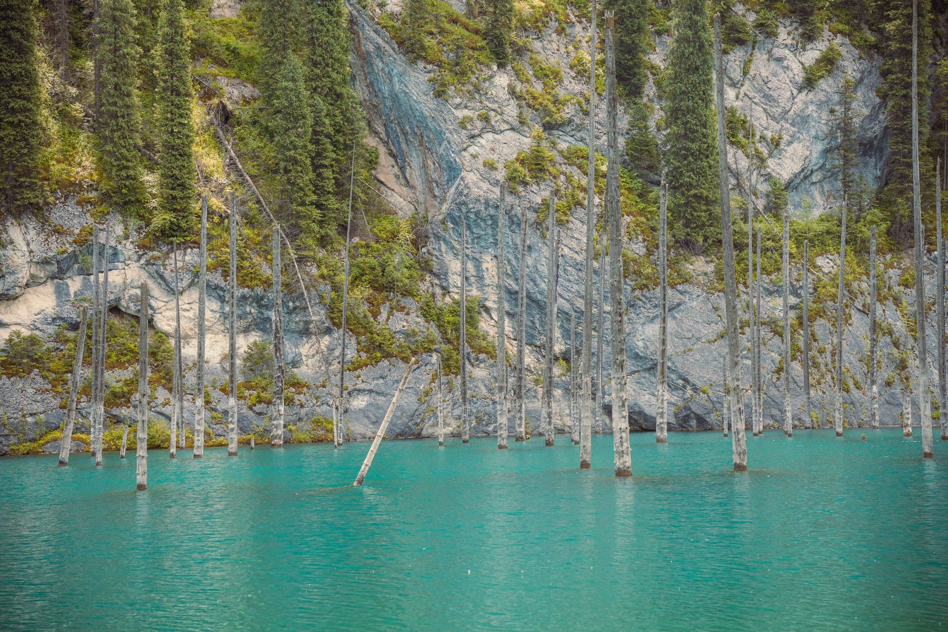 eSIM in Big Almaty Lake 2